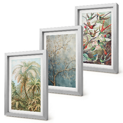 Composizione di 3 quadri Piante tropicali e uccelli colorati in natura