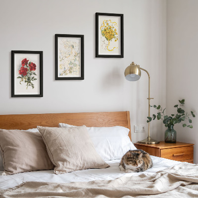 Composizione di 3 quadri Rose rosse, figura bianca, fiori gialli in un vaso