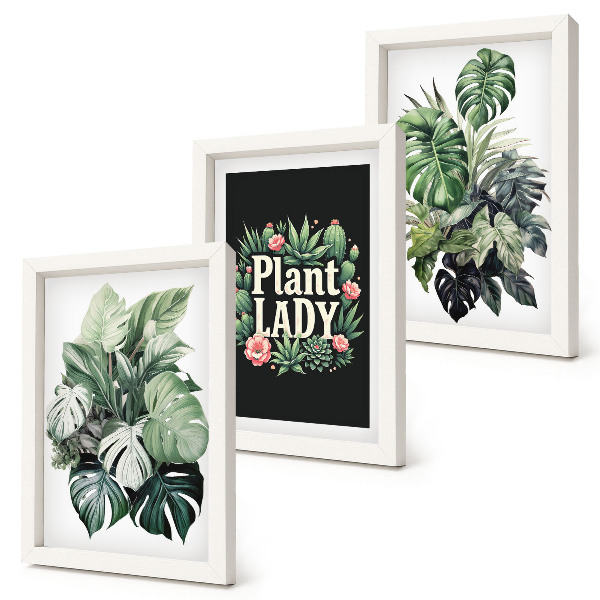 Trittico incorniciato Piante tropicali con la scritta 