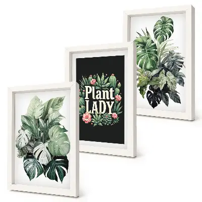 Trittico di quadri incorniciati con piante tropicali e scritta 