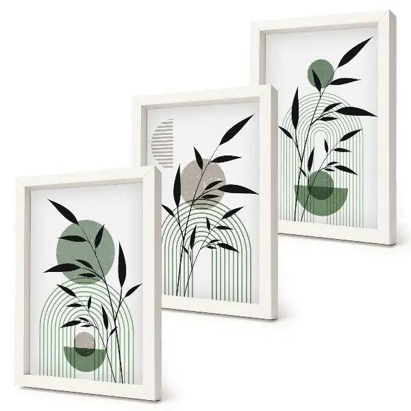 Trittico di quadri composizioni astratte di piante in stile boho