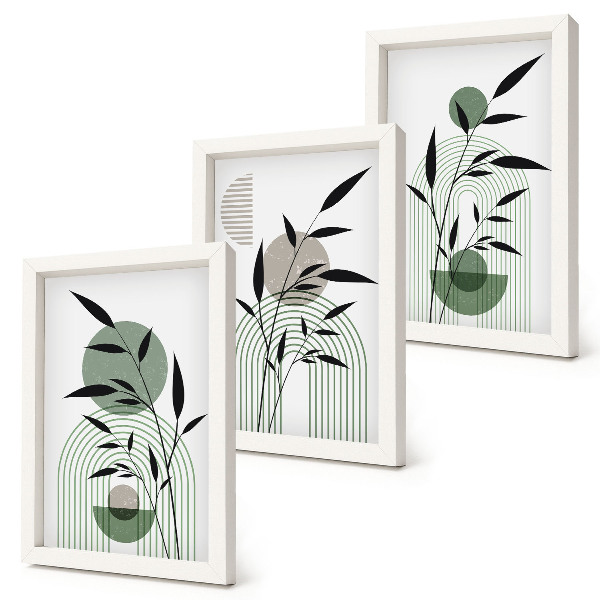 Composizione di 3 quadri Composizioni astratte di piante, stile boho