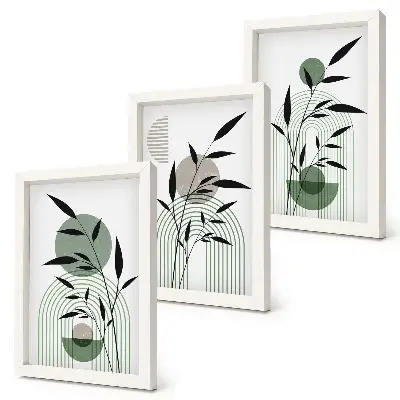 Trittico di quadri composizioni astratte di piante in stile boho