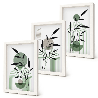 Composizione di 3 quadri Composizioni astratte di piante, stile boho
