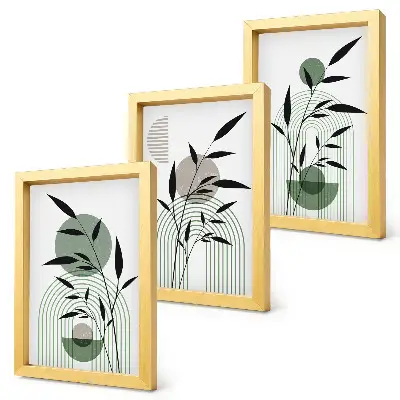 Trittico di quadri composizioni astratte di piante in stile boho