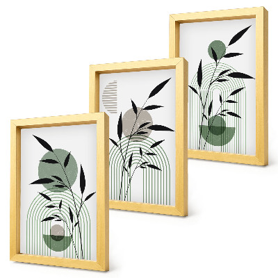 Composizione di 3 quadri Composizioni astratte di piante, stile boho