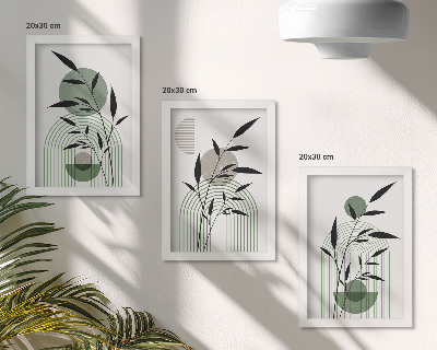Composizione di 3 quadri Composizioni astratte di piante, stile boho