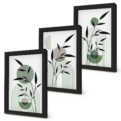 Composizione di 3 quadri Composizioni astratte di piante, stile boho