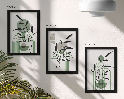 Composizione di 3 quadri Composizioni astratte di piante, stile boho