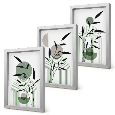 Composizione di 3 quadri Composizioni astratte di piante, stile boho
