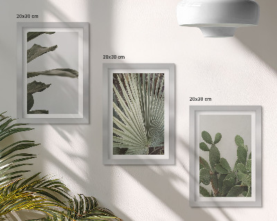 Composizione di 3 quadri Foglie di piante tropicali dai colori pastello