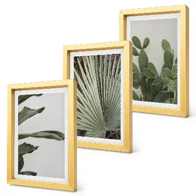 Composizione di 3 quadri con foglie di piante tropicali dai colori pastello