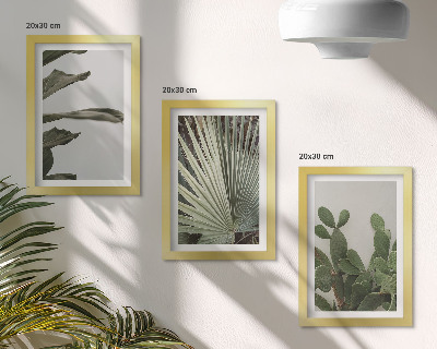 Composizione di 3 quadri Foglie di piante tropicali dai colori pastello