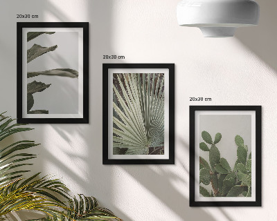 Composizione di 3 quadri Foglie di piante tropicali dai colori pastello