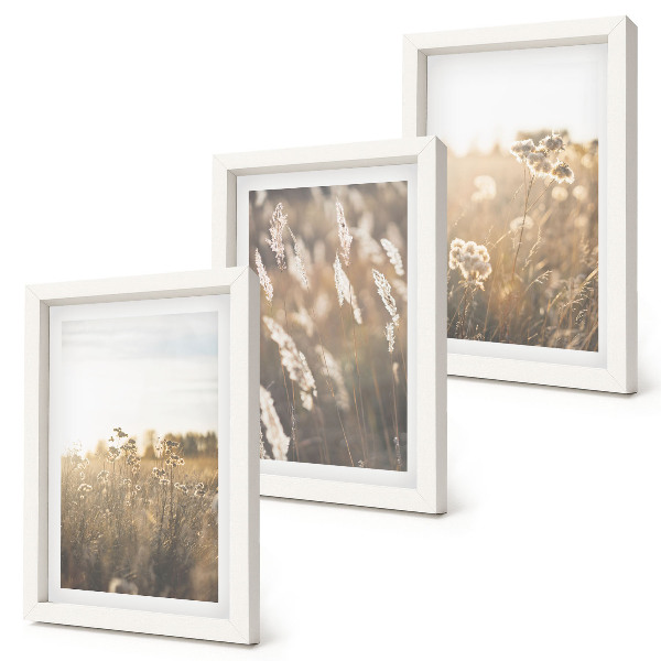 Composizione di 3 quadri Un paesaggio con erbe e fiori dalle tonalità calde