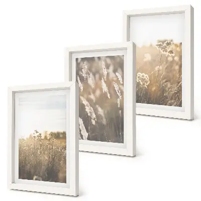 Composizione di 3 quadri paesaggio con erbe e fiori dalle tonalità calde