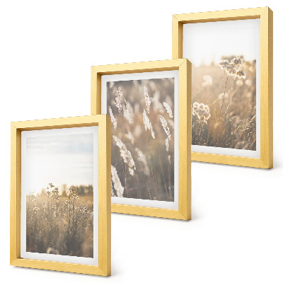 Composizione di 3 quadri Un paesaggio con erbe e fiori dalle tonalità calde