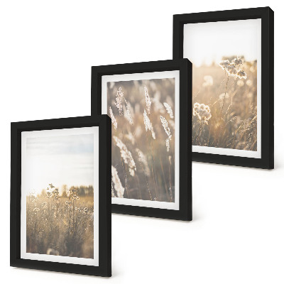 Composizione di 3 quadri Un paesaggio con erbe e fiori dalle tonalità calde