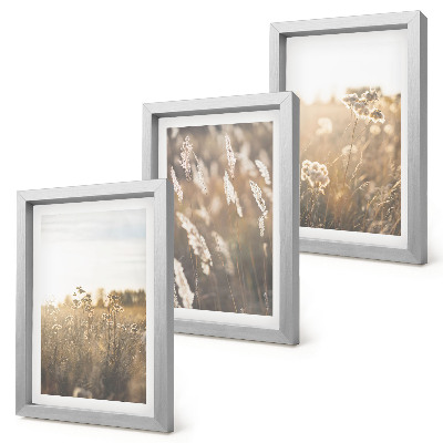 Composizione di 3 quadri Un paesaggio con erbe e fiori dalle tonalità calde
