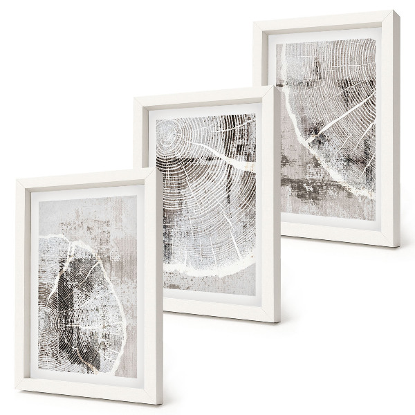Composizione di 3 quadri Venature del legno in diverse tonalità di grigio e bianco