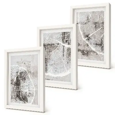 Composizione di 3 quadri con venature del legno in diverse tonalità di grigio e bianco