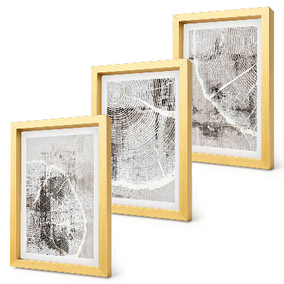 Composizione di 3 quadri Venature del legno in diverse tonalità di grigio e bianco