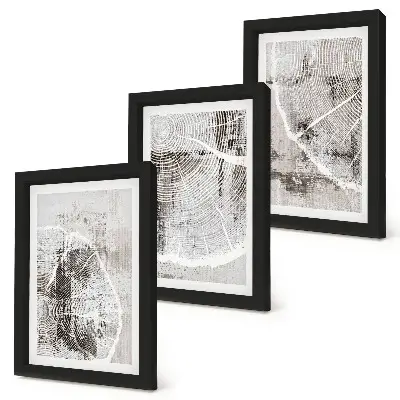 Composizione di 3 quadri con venature del legno in diverse tonalità di grigio e bianco