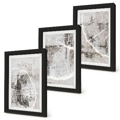 Composizione di 3 quadri Venature del legno in diverse tonalità di grigio e bianco