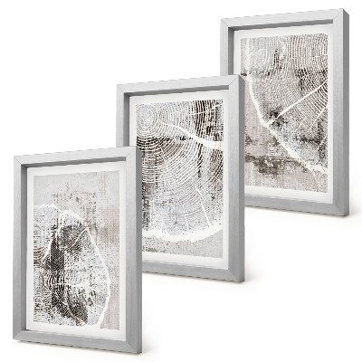 Composizione di 3 quadri Venature del legno in diverse tonalità di grigio e bianco