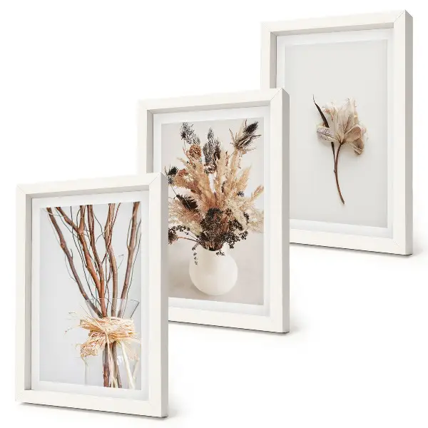 Trittico incorniciato fiori e rami in stile naturalistico minimalista