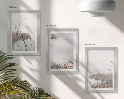 Composizione di 3 quadri Vegetazione acquatica, delicati scorci estivi