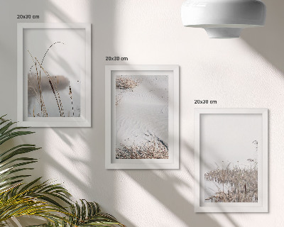 Composizione di 3 quadri Vegetazione acquatica, delicati scorci estivi
