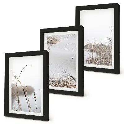Vegetazione acquatica, delicati scorci estivi composizione di 3 quadri