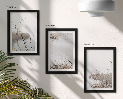 Composizione di 3 quadri Vegetazione acquatica, delicati scorci estivi