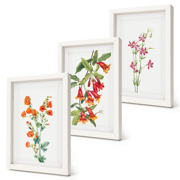 Trittico incorniciato dipinto floreale vintage retrò