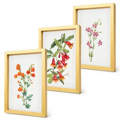 Dipinto floreale vintage trittico incorniciato