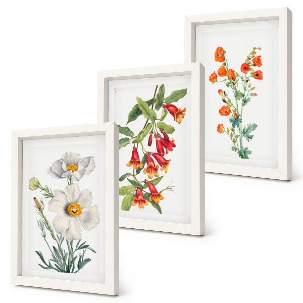 Composizione di 3 quadri Composizioni floreali pittura retrò vintage