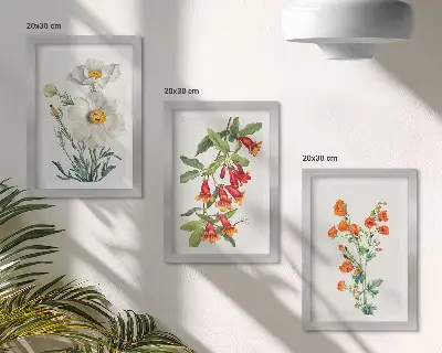 Composizione di 3 quadri con stampe di composizioni floreali in stile vintage retrò