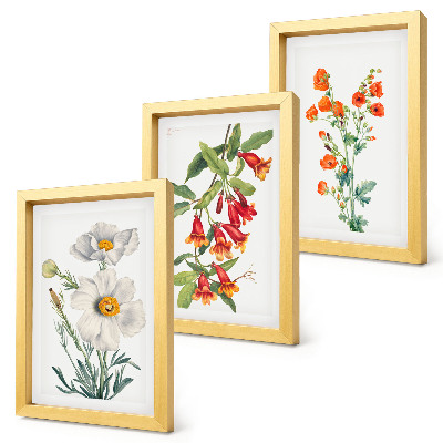 Composizione di 3 quadri Composizioni floreali pittura retrò vintage