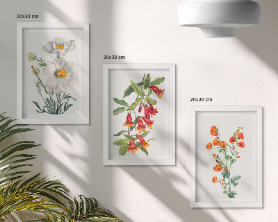 Composizione di 3 quadri Composizioni floreali pittura retrò vintage