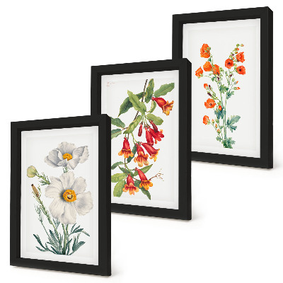 Composizione di 3 quadri Composizioni floreali pittura retrò vintage