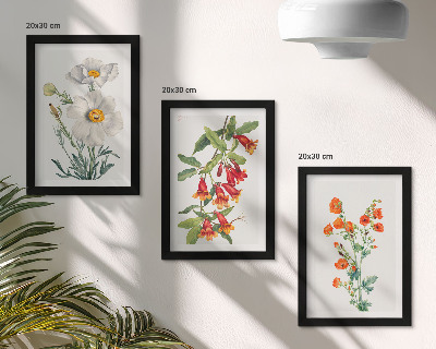 Composizione di 3 quadri Composizioni floreali pittura retrò vintage