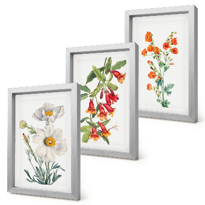 Composizione di 3 quadri Composizioni floreali pittura retrò vintage