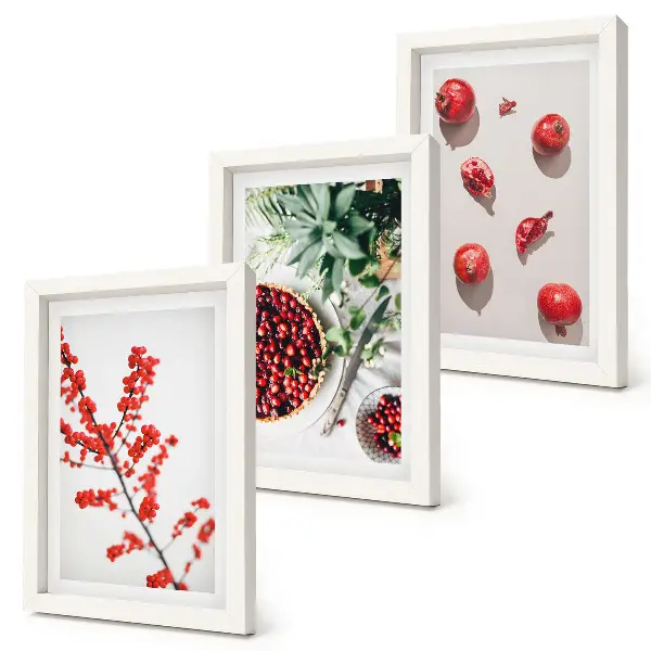 Composizione di 3 quadri con frutti rossi e piante in stile minimalista