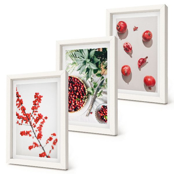 Composizione di 3 quadri Frutti rossi e piante in stile minimalista
