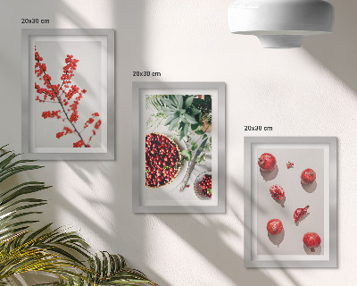 Composizione di 3 quadri Frutti rossi e piante in stile minimalista