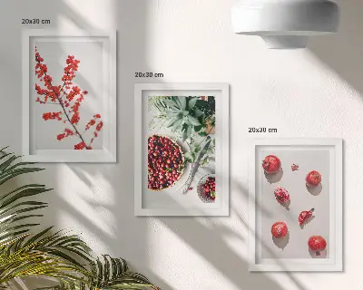 Composizione di 3 quadri con frutti rossi e piante in stile minimalista