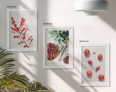 Composizione di 3 quadri Frutti rossi e piante in stile minimalista