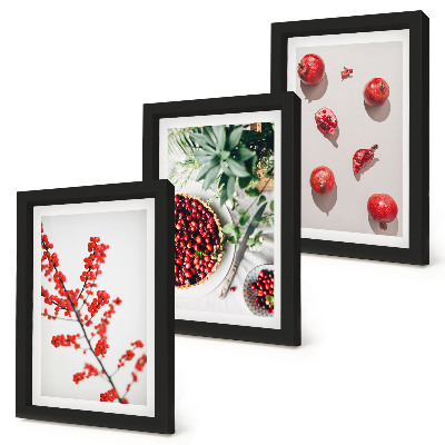 Composizione di 3 quadri Frutti rossi e piante in stile minimalista
