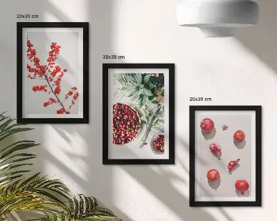 Composizione di 3 quadri con frutti rossi e piante in stile minimalista